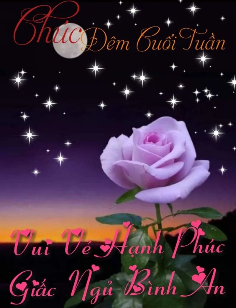 Ảnh chúc bạn buổi tối vui vẻ