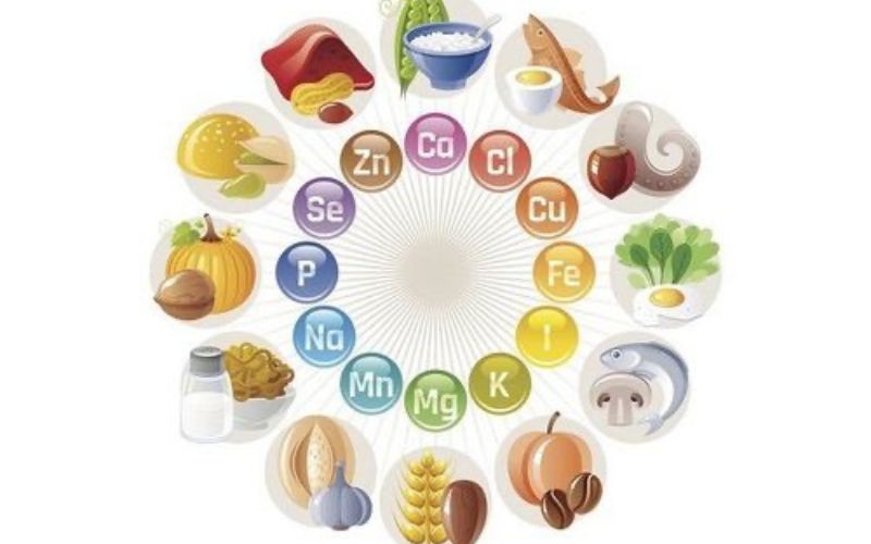 Bổ sung dinh dưỡng cần thiết