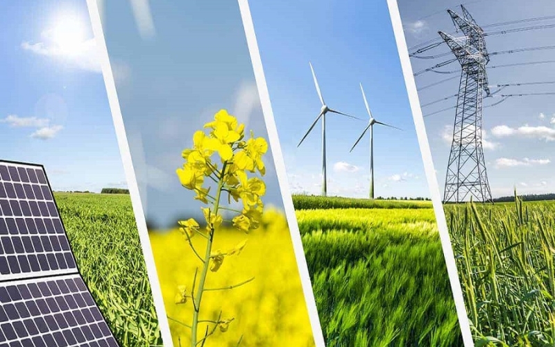 Các loại năng lượng tái tạo phổ biến gồm: mặt trời, gió, thủy điện, địa nhiệt và sinh khối