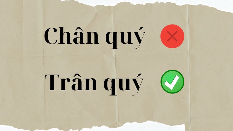 Trân quý hay chân quý
