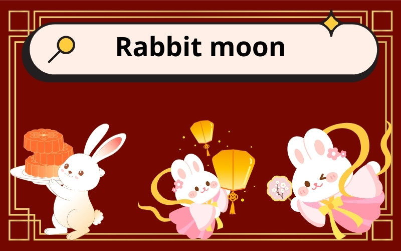Thỏ Ngọc là một trong số các từ khóa chủ đề Trung Thu được tìm nhiều nhất trên Canva
