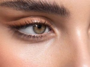 Dáng lông mày dựng ngược