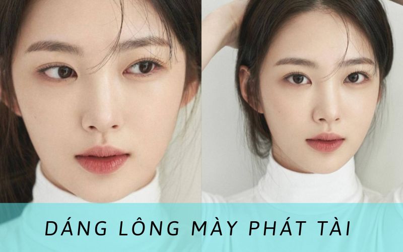 Dáng lông mày phát tài