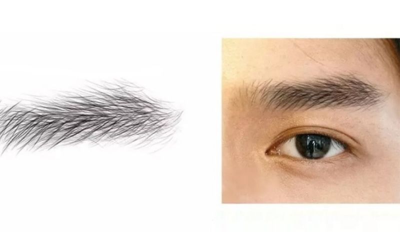 Lông mày chữ nhất ở nam