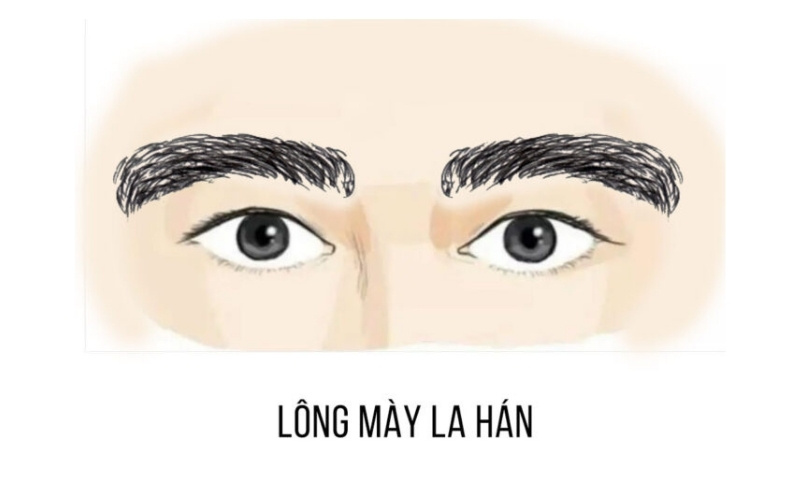 Lông mày La Hán biểu thị trí tuệ, uy tín và sự trường thọ