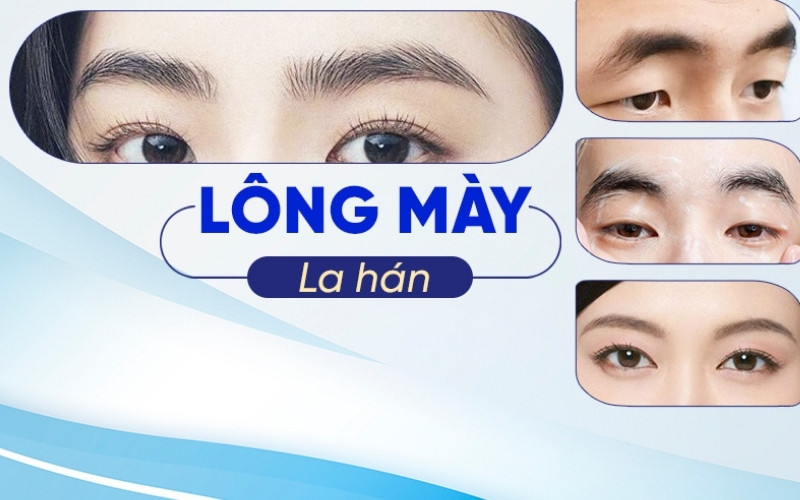 Lông mày La Hán là kiểu chân mày dài, rậm, cong xuống đuôi