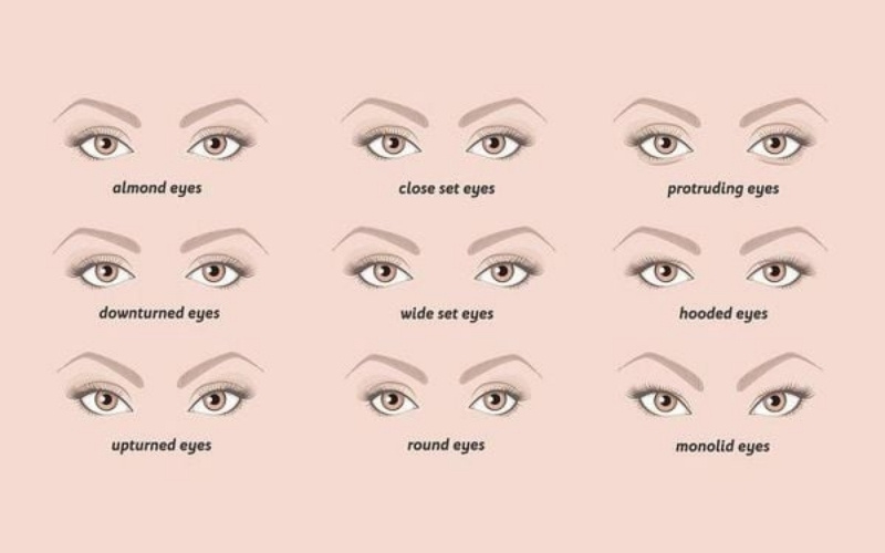 Hình dáng mắt kết hợp với lông mày thể hiện tính cách, trí tuệ và có ảnh hưởng lớn đến vận mệnh