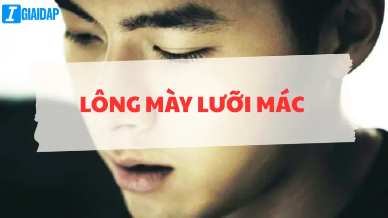 Đặc điểm của ông mày lưỡi mác? Tốt hay xấu trong nhân tướng học