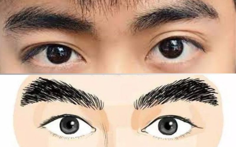 Tướng chân mày nam tốt