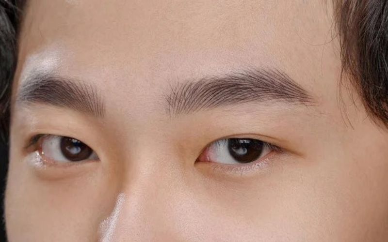 Đặc điểm của lông mày nam