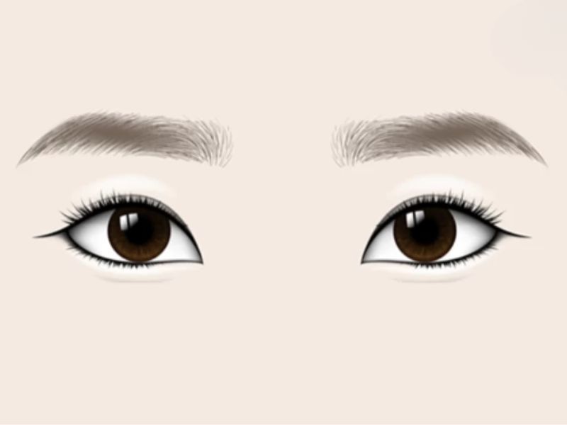 Phong thái dịu dàng, dễ đạt được thành công 