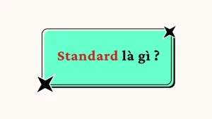 Standard là gì