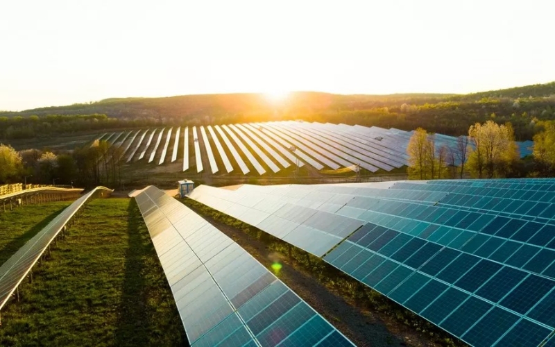 Sử dụng năng lượng tái tạo giúp giảm khí thải nhà kính và bảo vệ môi trường sống