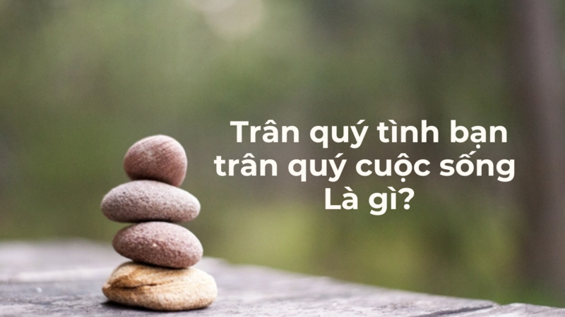 Trân quý tình bạn, trân quý cuộc sống là gì