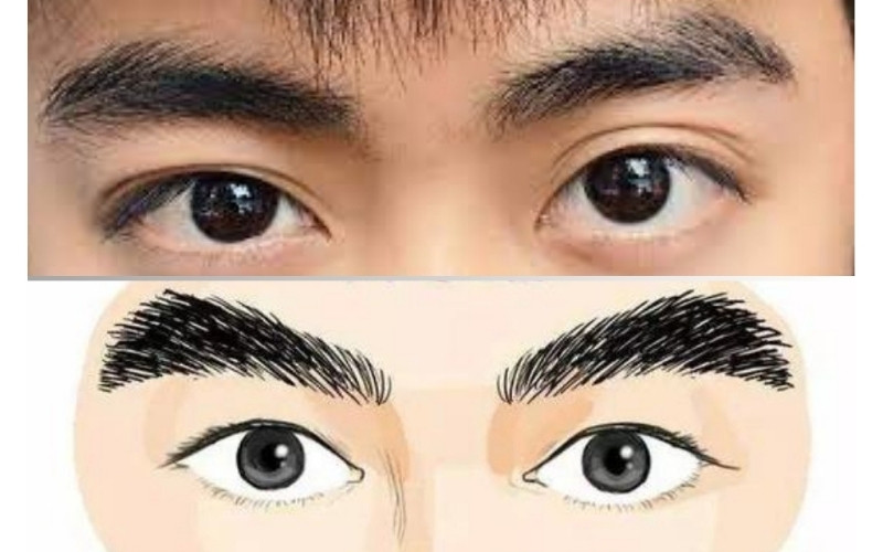 Tướng lông mày đàn ông bị đứt đoạn thường cho thấy cuộc sống dễ gặp trở ngại