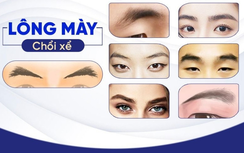 Tướng lông mày nam giới chổi xể thường cho thấy tính cách nóng nảy