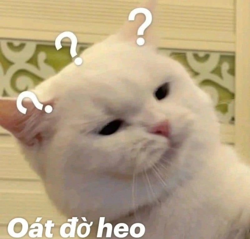 What đờ heo nghĩa là gì