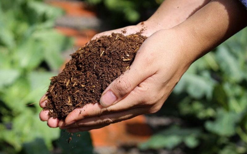 Bừa và đập đất có tác dụng gì?