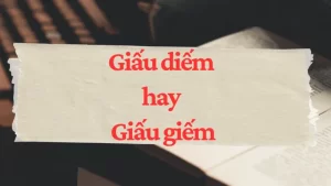 Dấu diếm, giấu diếm hay giấu giếm đúng chính tả Tiếng Việt? Giấu giếm là gì?