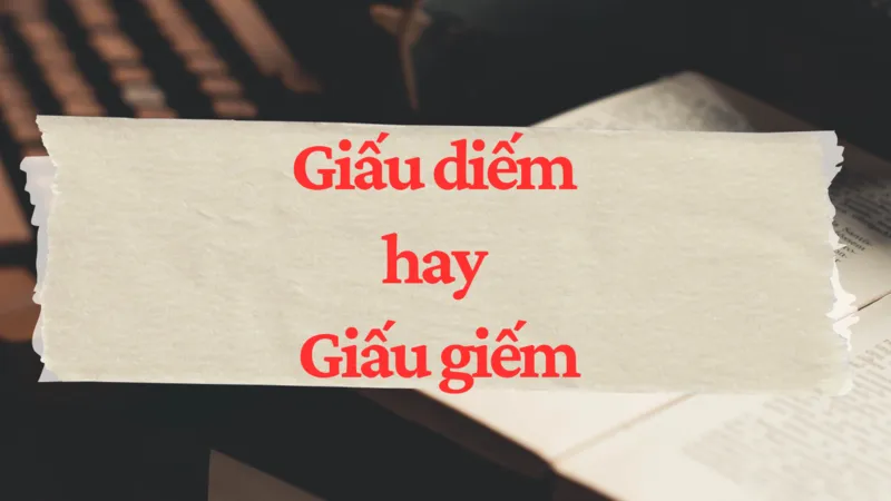Dấu diếm, giấu diếm hay giấu giếm đúng chính tả Tiếng Việt? Giấu giếm là gì?
