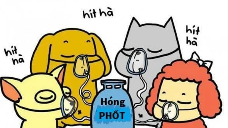 Hóng phốt là gì