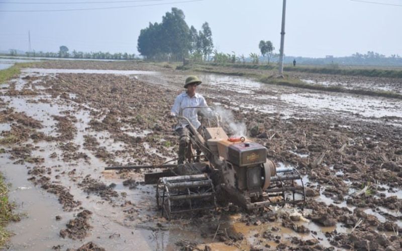 Khái niệm “bừa đất” trong nông nghiệp