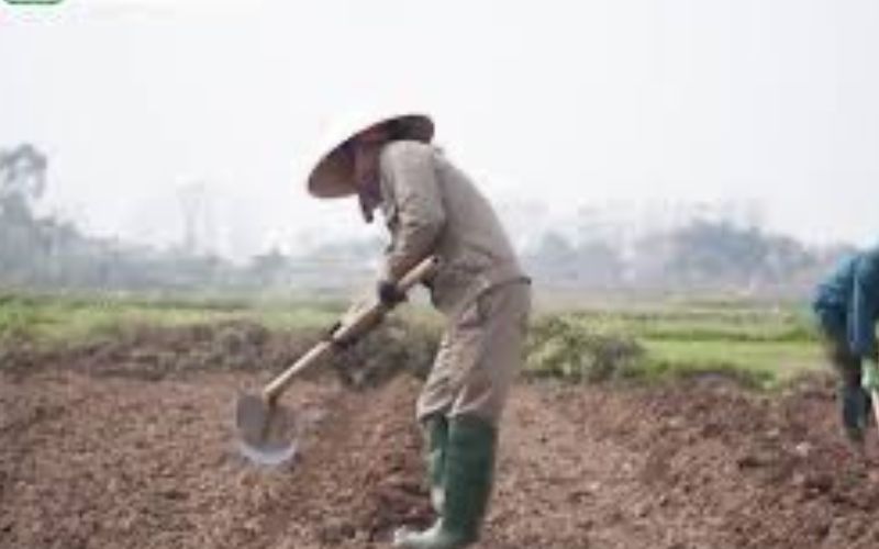 Khái niệm “đập đất” trong nông nghiệp