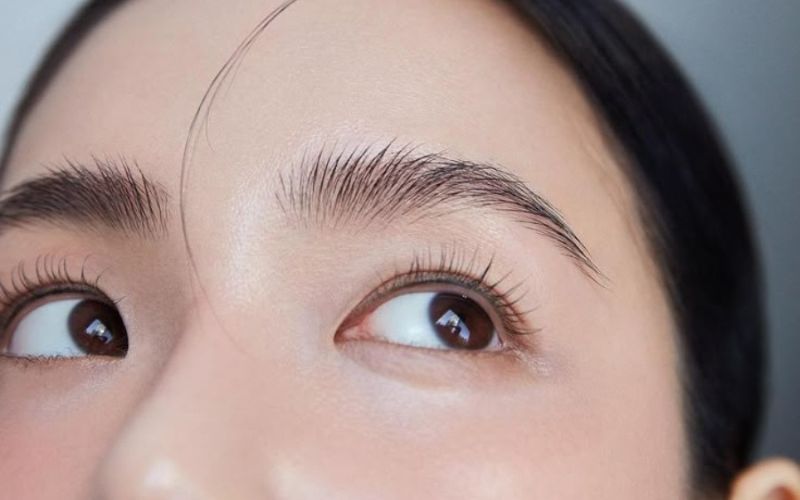 Lông mày phượng ở nữ giới nói lên điều gì