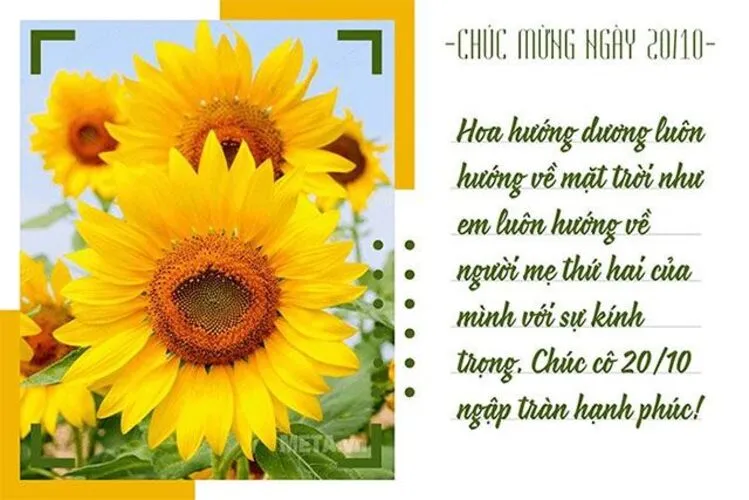 Mẫu thiệp kèm lời chúc 20/10 cho cô giáo