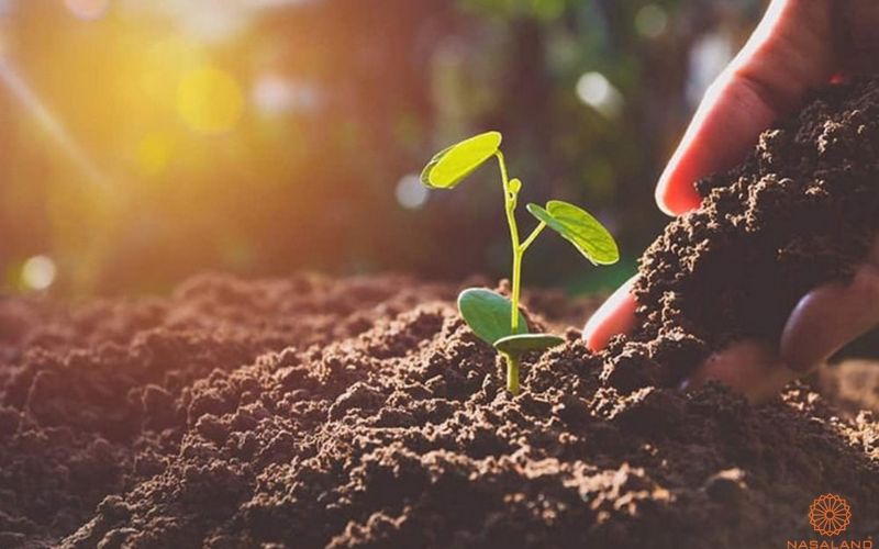 Quy trình bừa đất đúng cách