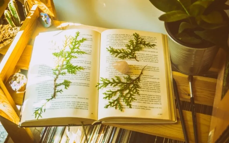 Sách cũng là món quà phù hợp