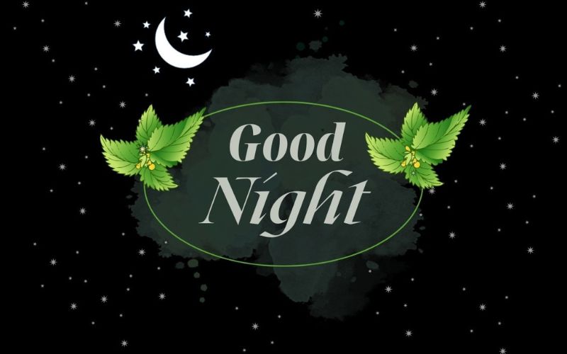 Stt chúc ngủ ngon thả thính crush