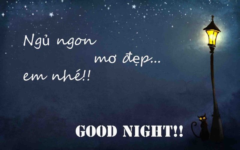 Stt chúc ngủ ngon thả thính người yêu