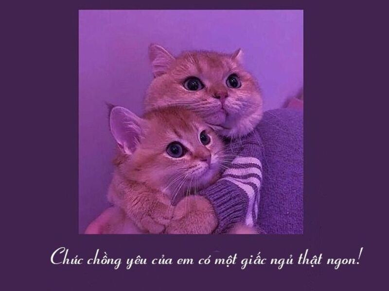 Thả thính chúc ngủ ngon hài hước cho người yêu