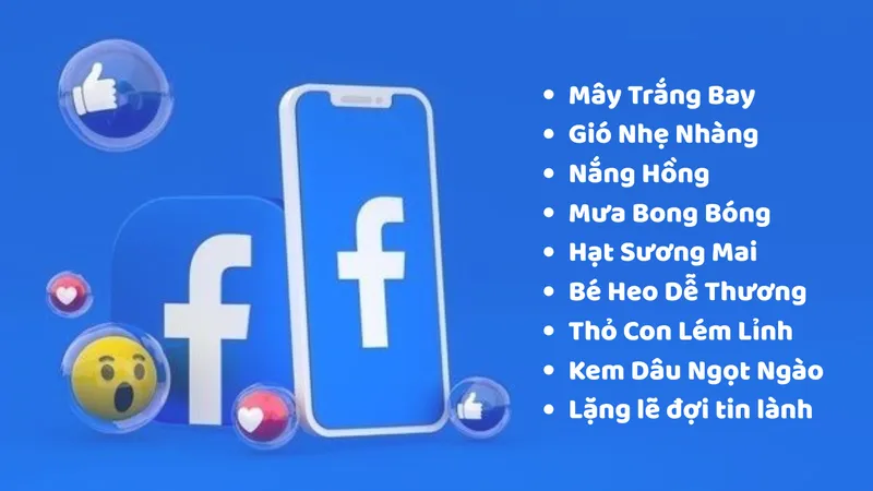 Tham khảo hơn 50 cái tên fb hay, ấn tượng nhất