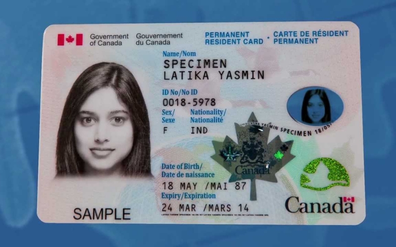 Biểu đồ so sánh permanent resident là gì với visa tạm trú