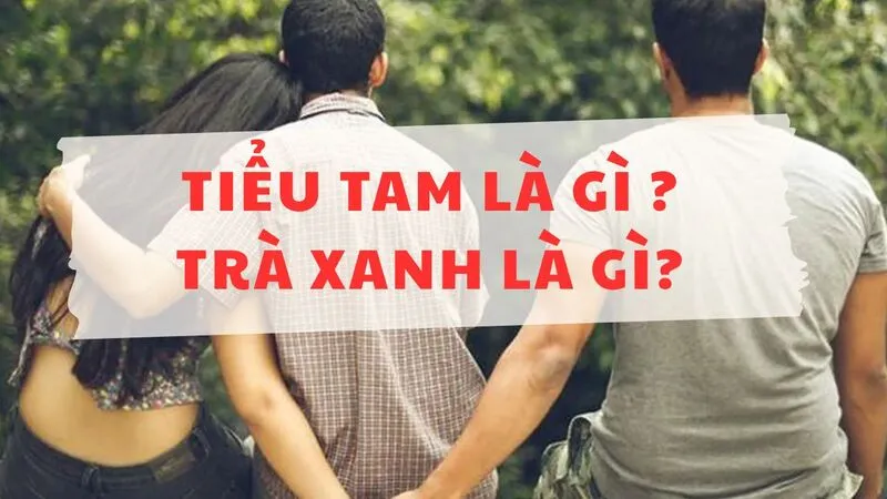 Tiểu tam là gì