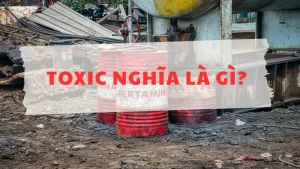 Toxic nghĩa là gì