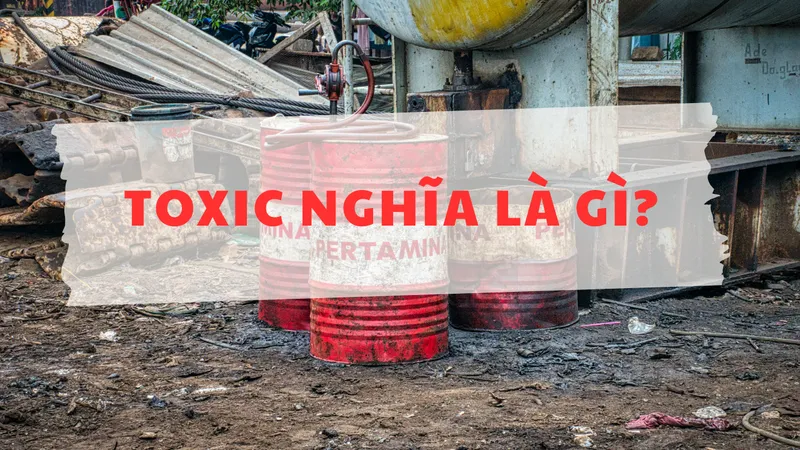 Toxic nghĩa là gì