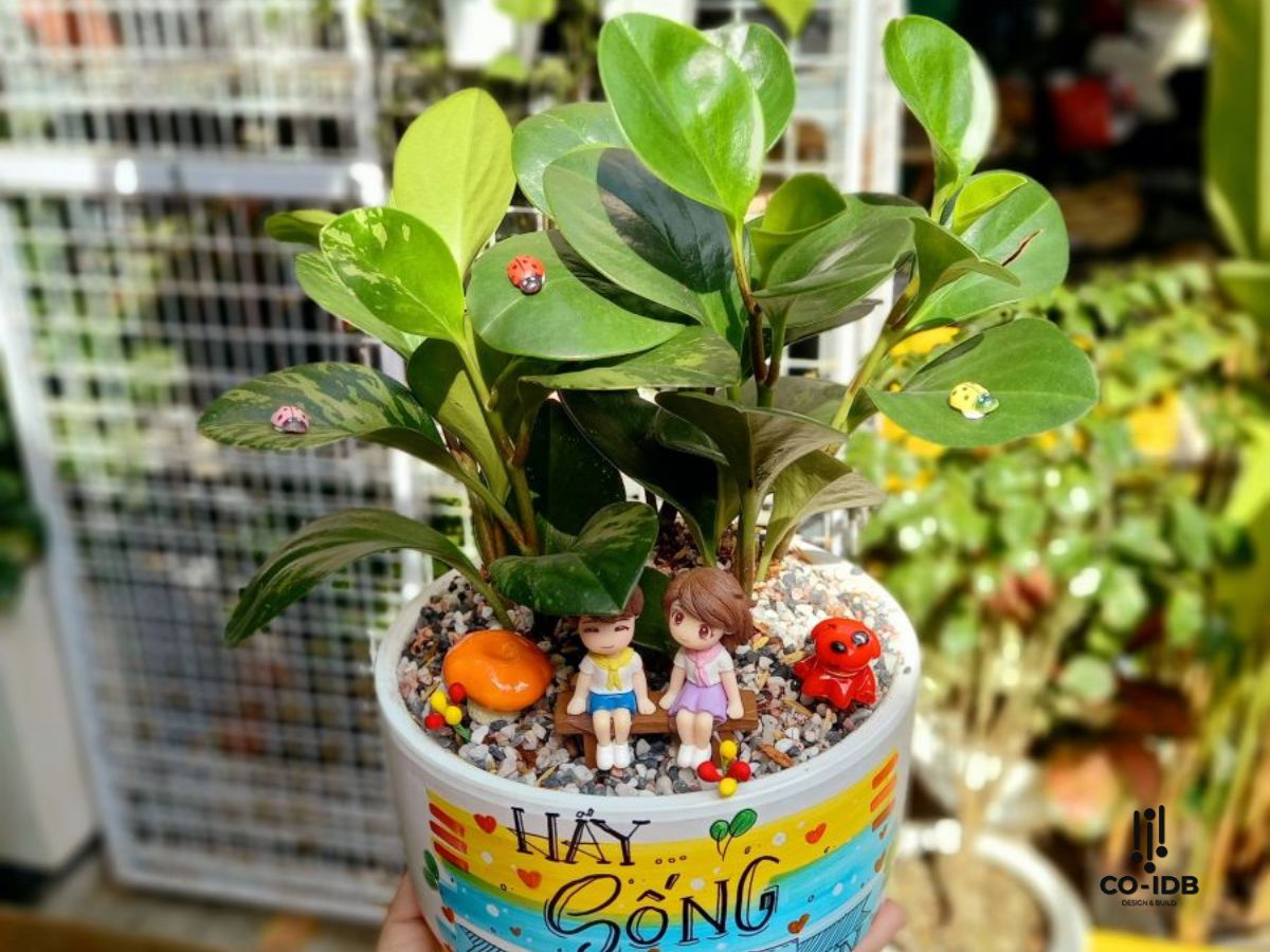 Discovering office Feng Shui plants