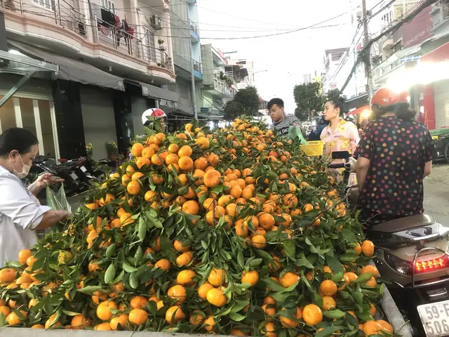 Bà Nội Chọn Mua Trái Cây Cúng Tết