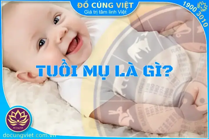 Cách Tính Tuổi Cúng Căn Cách Tính Tuổi Cúng Căn