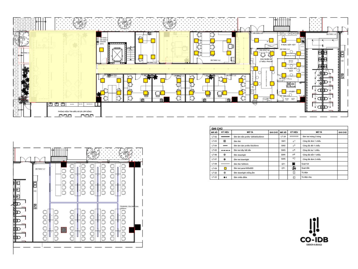 Ceiling lighting layout creating a balanced workspace
