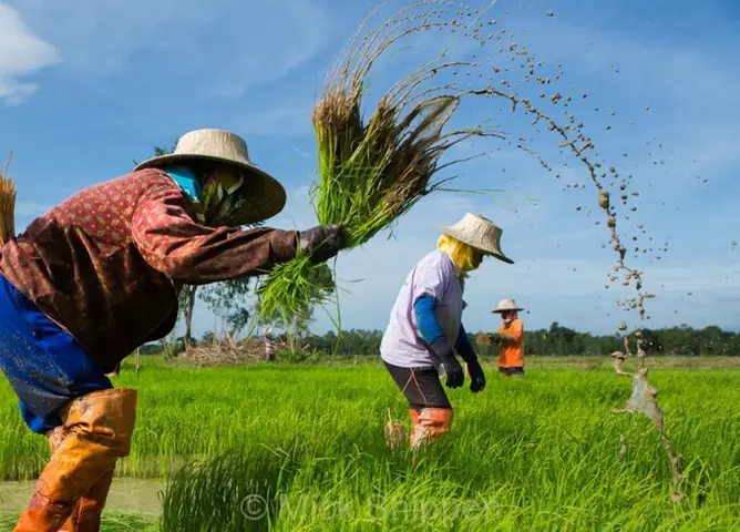 Cúng Hai Trai Bap Cúng Hai Trai Bap